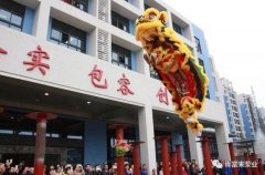 醒狮贺岁，星空官方站登录入口-星空online(中国)2019年开工大吉