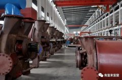 星空官方站登录入口-星空online(中国)被评为2019年度三水区骨干企业